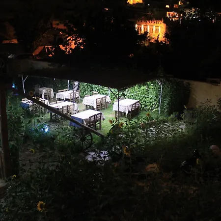 International Guest house 3*